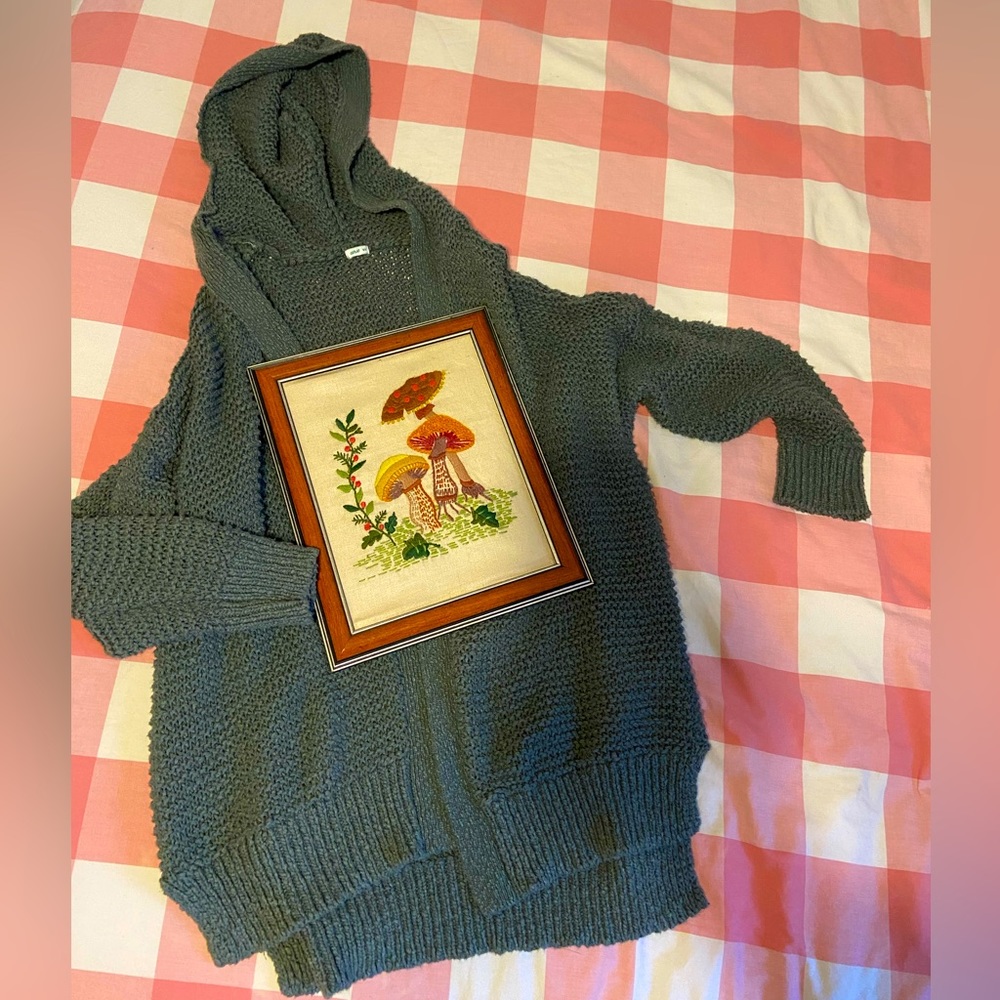 Aerie sweater in sage green size M
